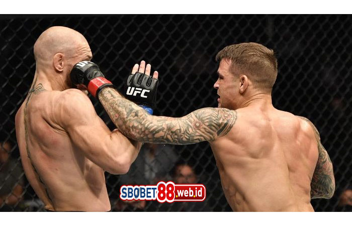 UFC Buka Peluang Gelar Trilogi McGregor Vs Poirier